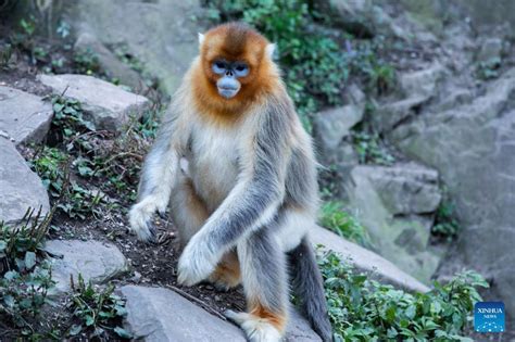 玉合公園怎麼樣？深入探索其魅力與特色